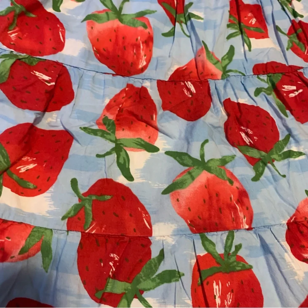 Gymboree Strawberry skirt size 8